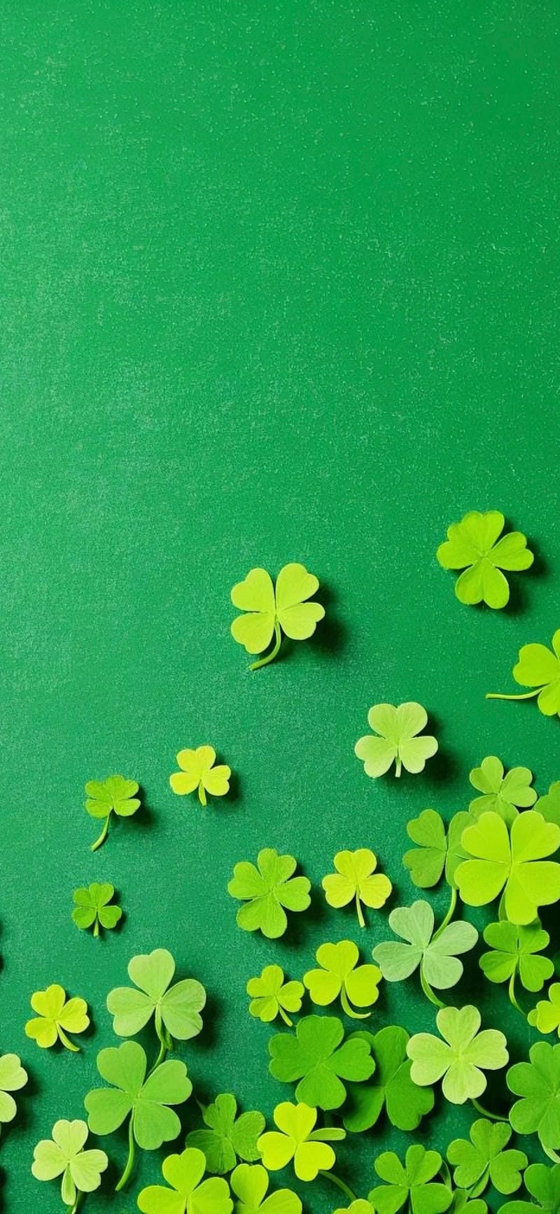 hinh-nen-co-4-la (33)