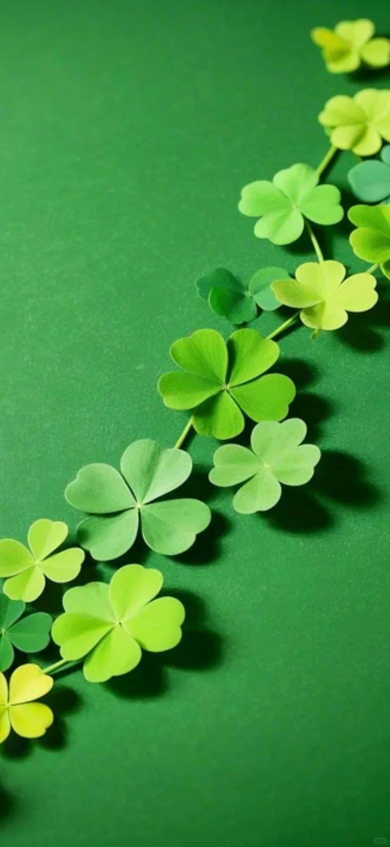 hinh-nen-co-4-la (35)