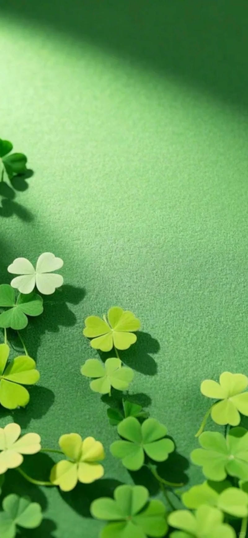 hinh-nen-co-4-la (39)