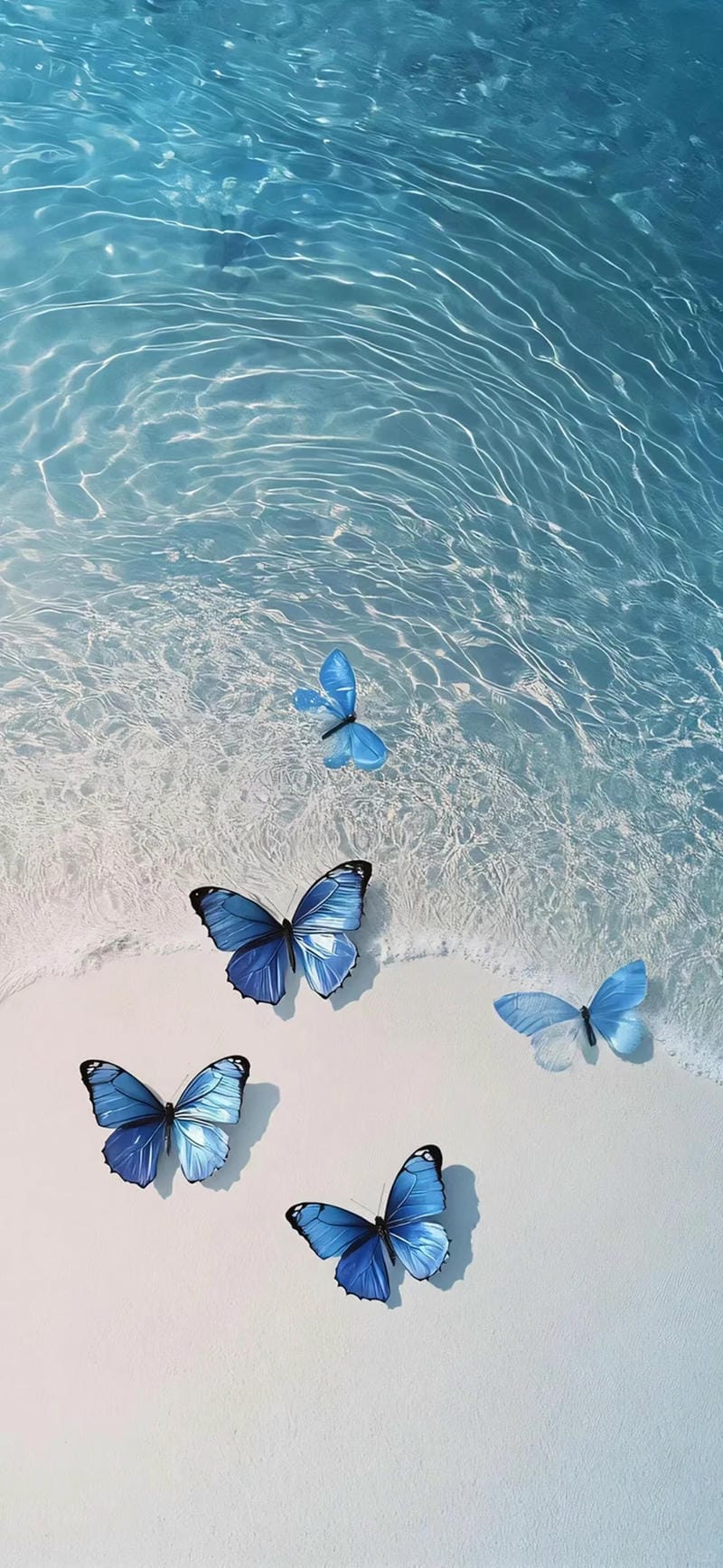 hinh-nen-con-buom (10)