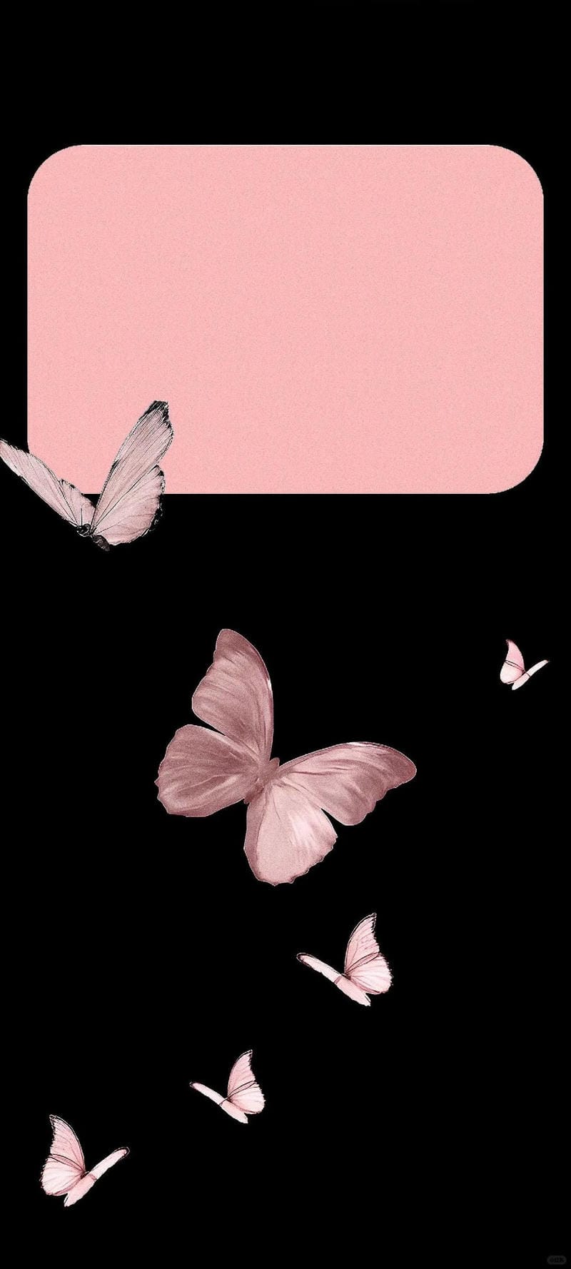 hinh-nen-con-buom (34)