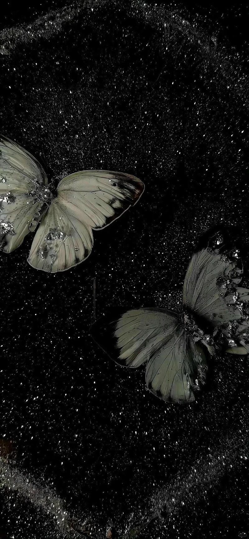 hinh-nen-con-buom (35)