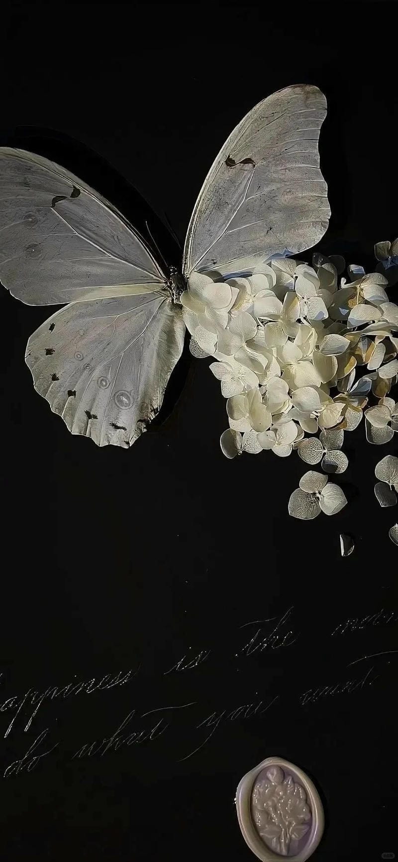 hinh-nen-con-buom (39)