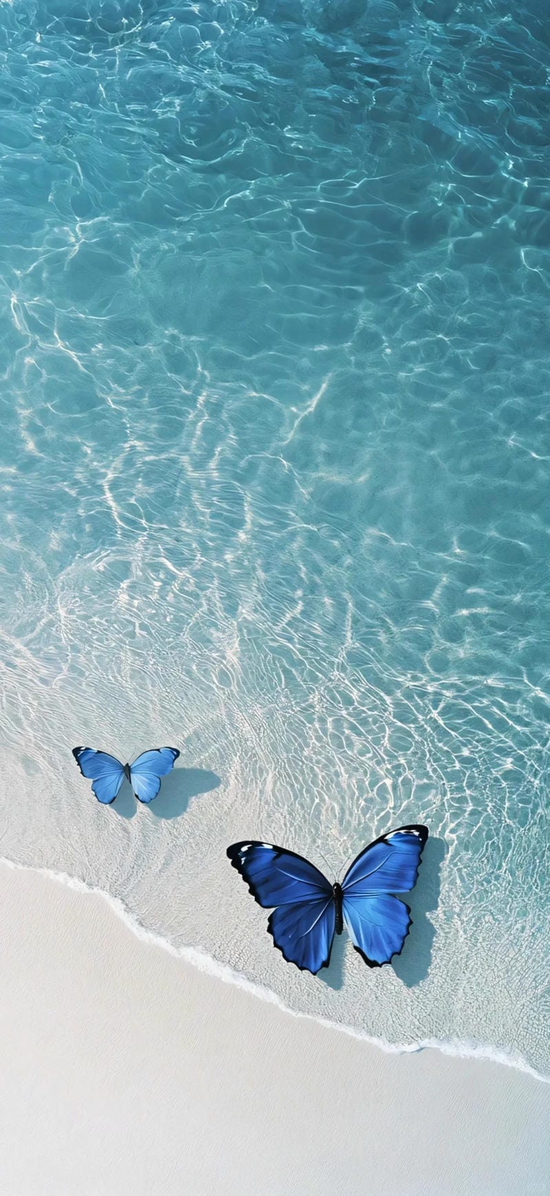 hinh-nen-con-buom (4)