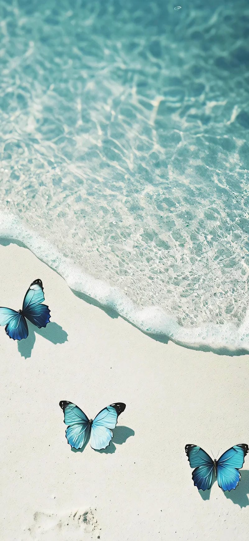 hinh-nen-con-buom (5)