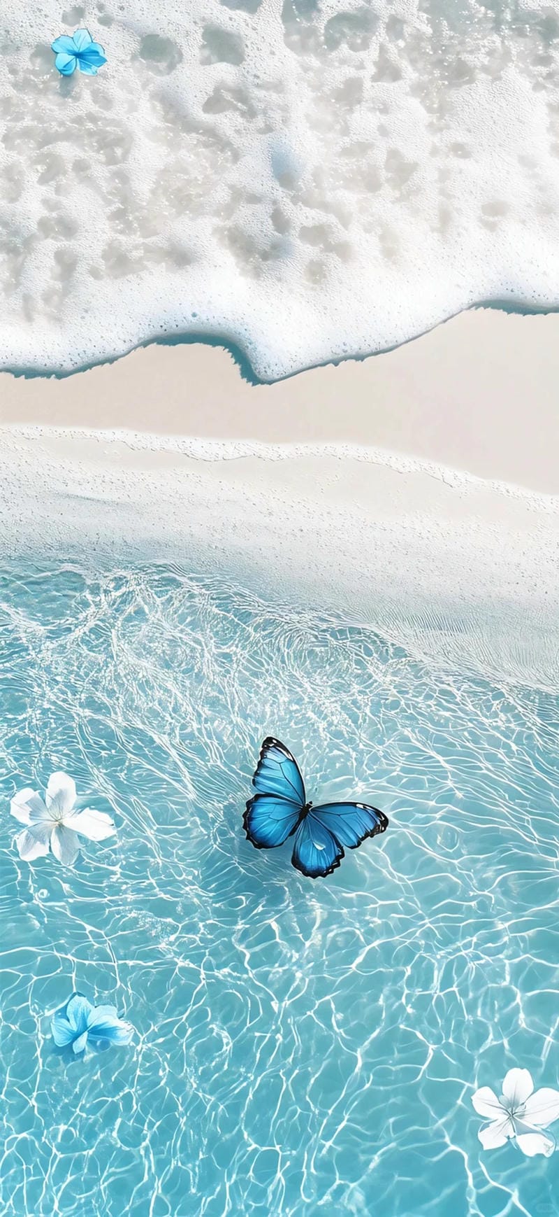 hinh-nen-con-buom (7)