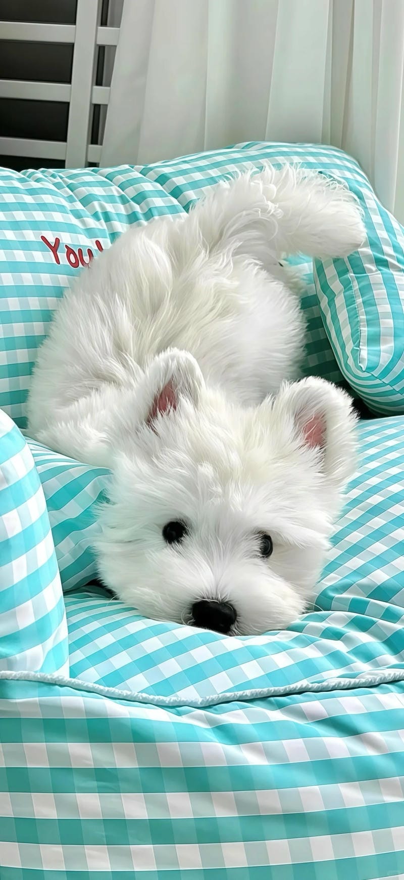 hinh-nen-con-cho (27)