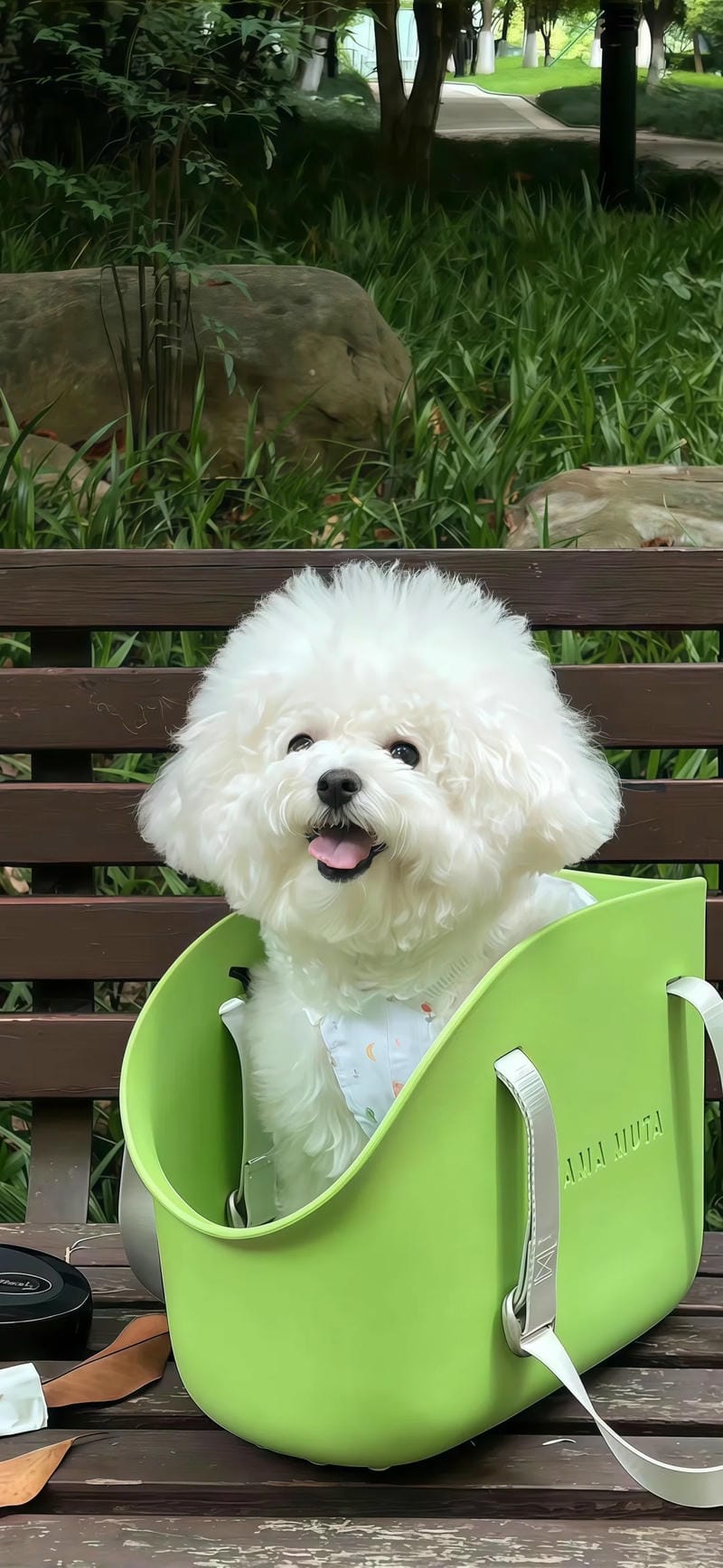 hinh-nen-con-cho (31)