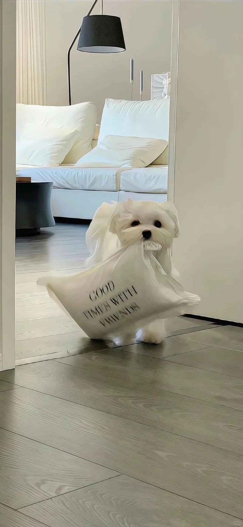 hinh-nen-con-cho (33)