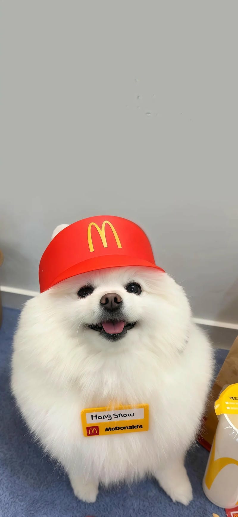 hinh-nen-con-cho (34)