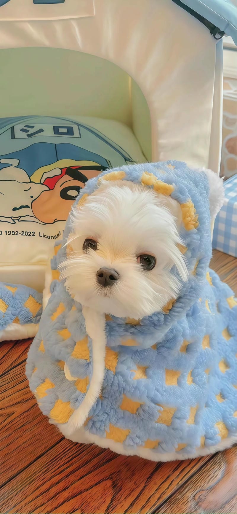 hinh-nen-con-cho (35)