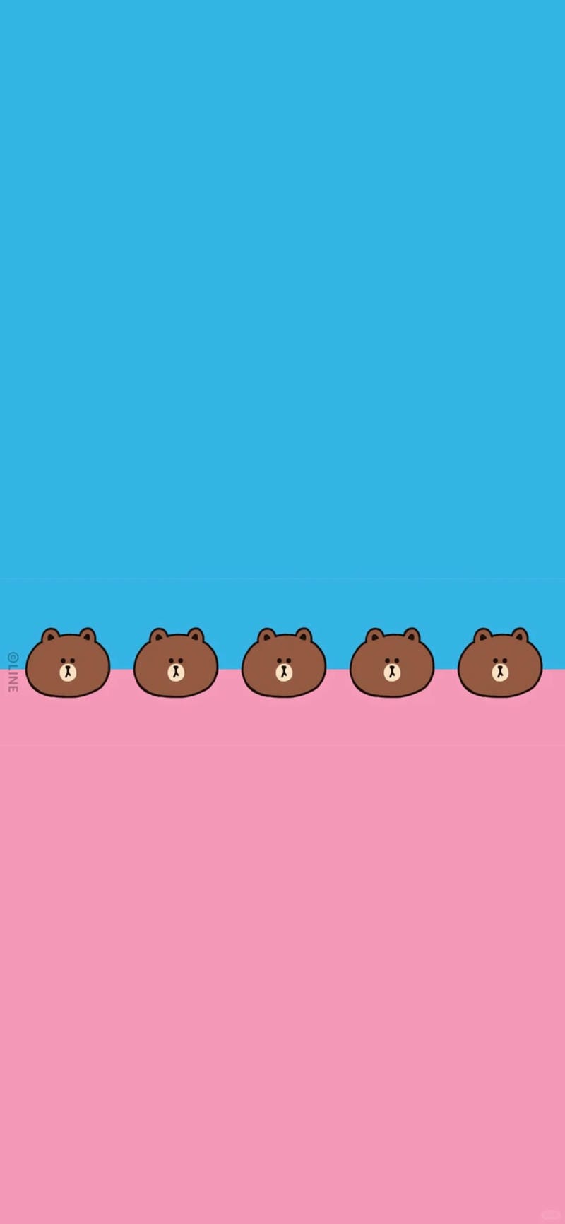 hinh-nen-con-gau (8)