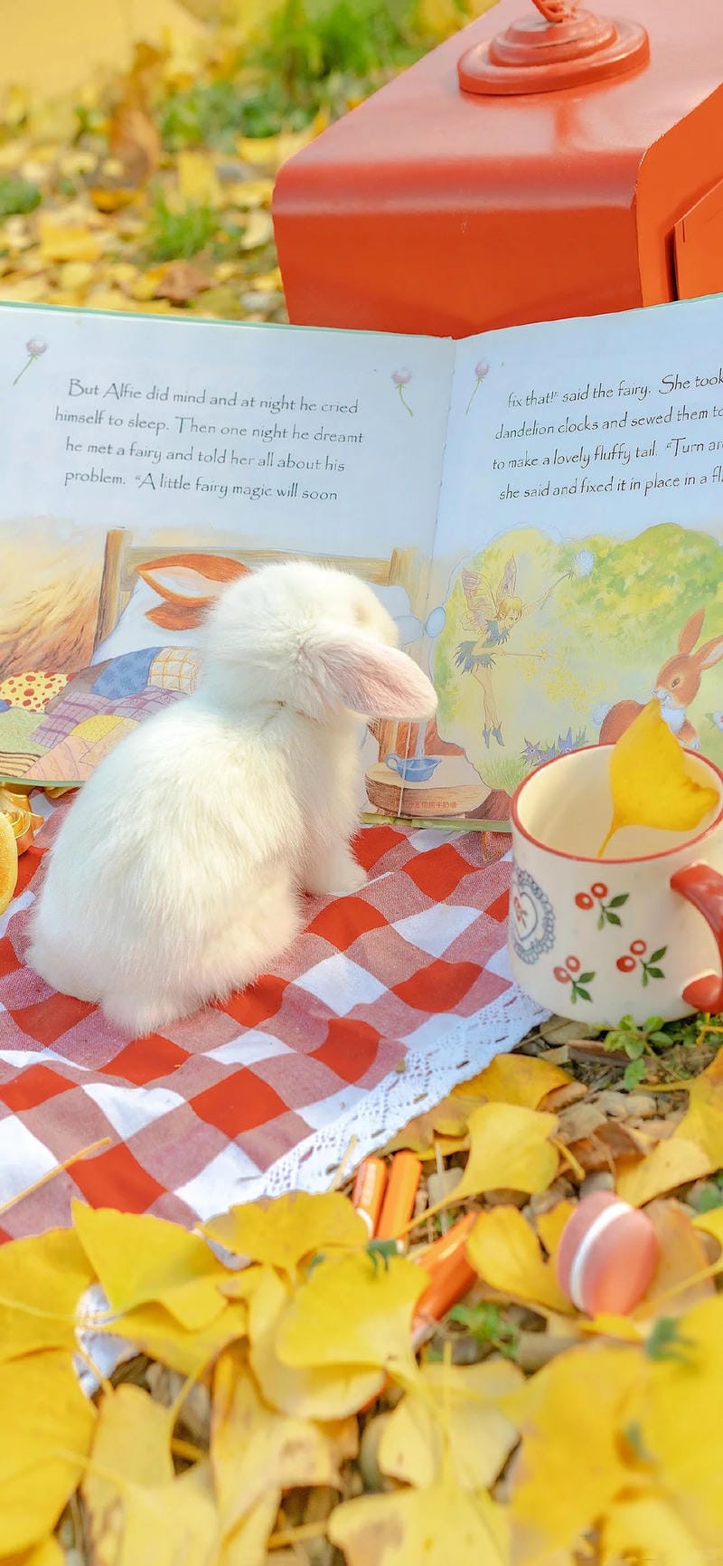 hinh-nen-con-tho (8)