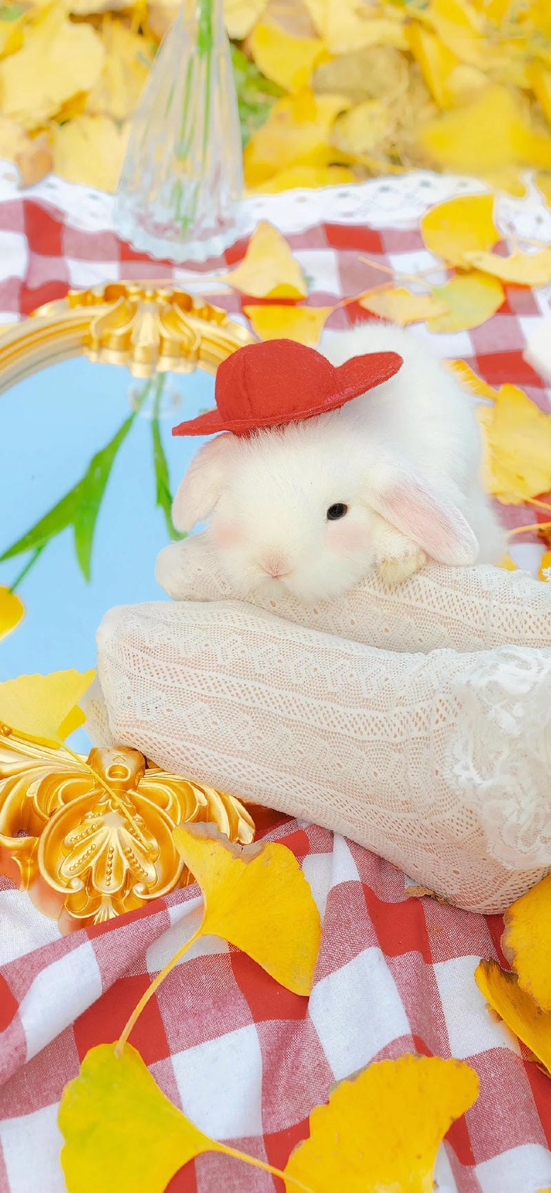 hinh-nen-con-tho (9)