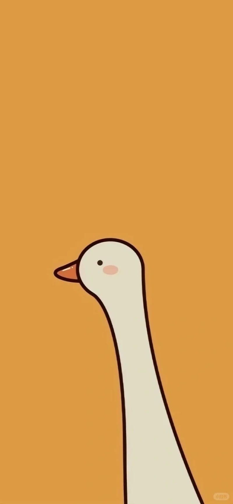 hinh-nen-con-vit (8)