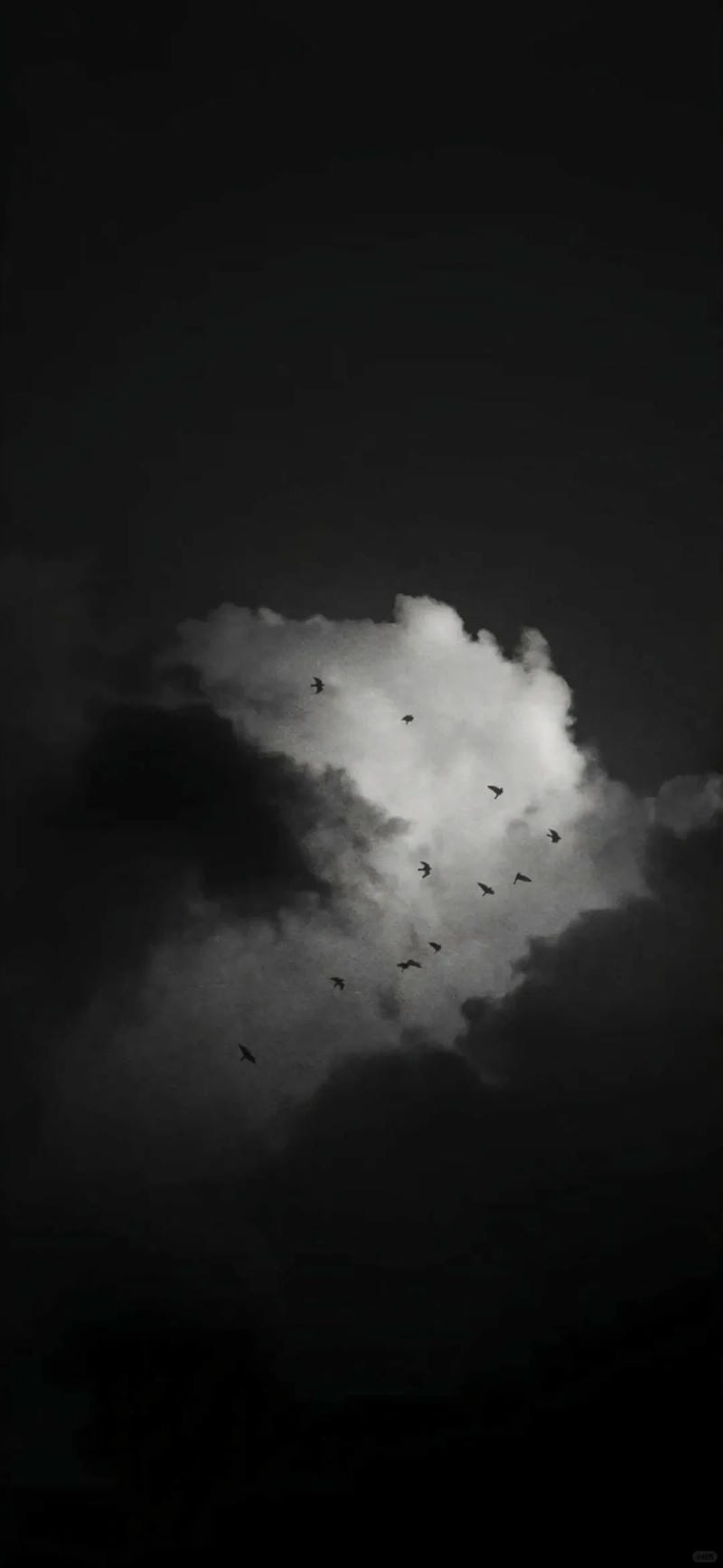 hinh-nen-den-trang (10)