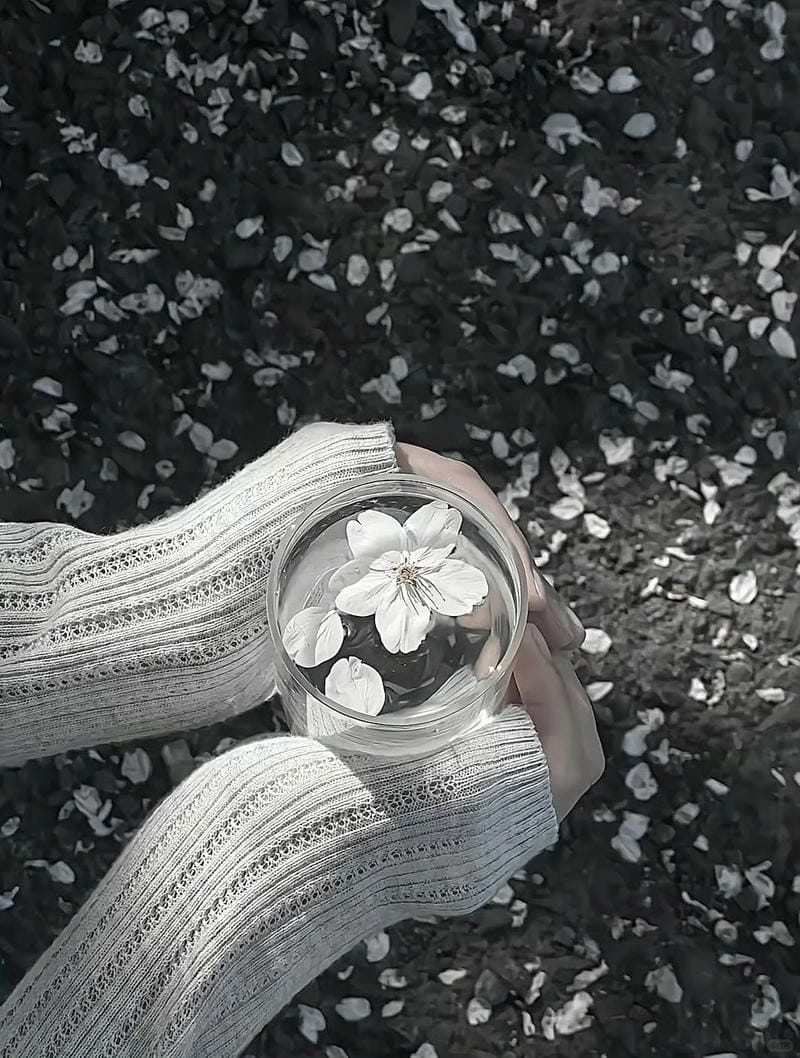 hinh-nen-den-trang (14)