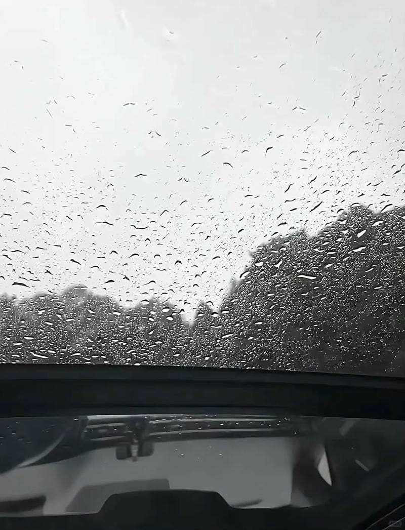 hinh-nen-den-trang (15)