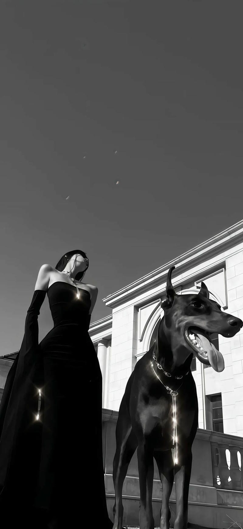 hinh-nen-den-trang (18)