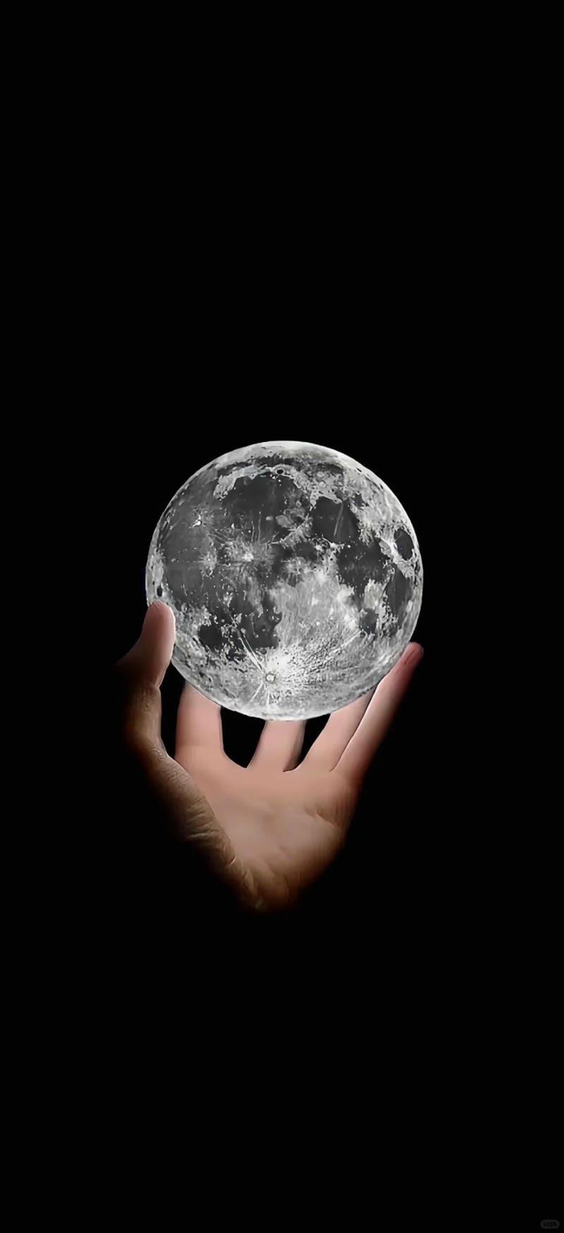 hinh-nen-den-trang (2)