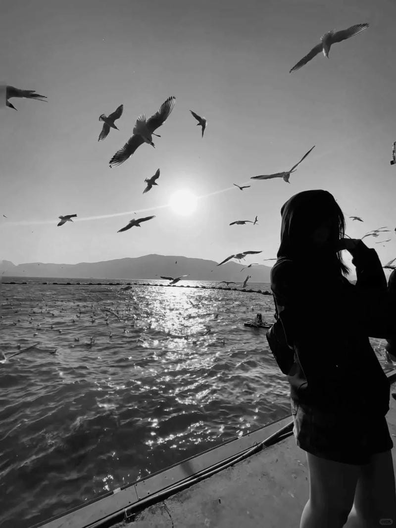 hinh-nen-den-trang (26)