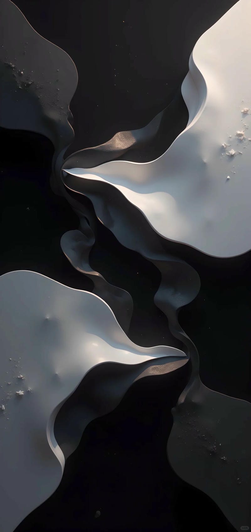 hinh-nen-den-trang (4)