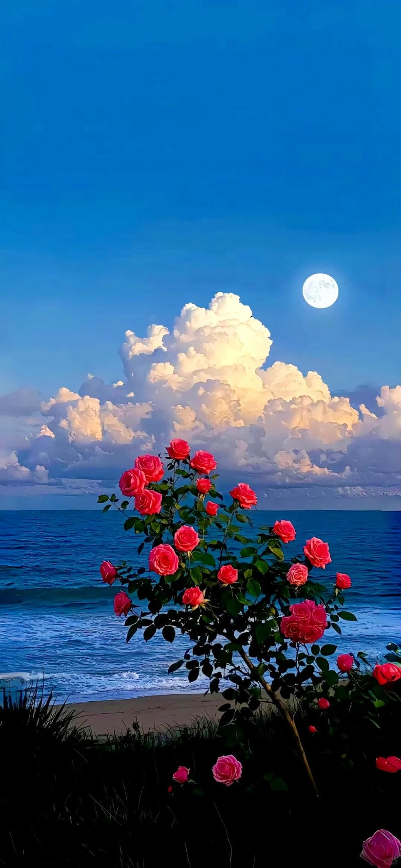 hinh-nen-dien-thoai (11)