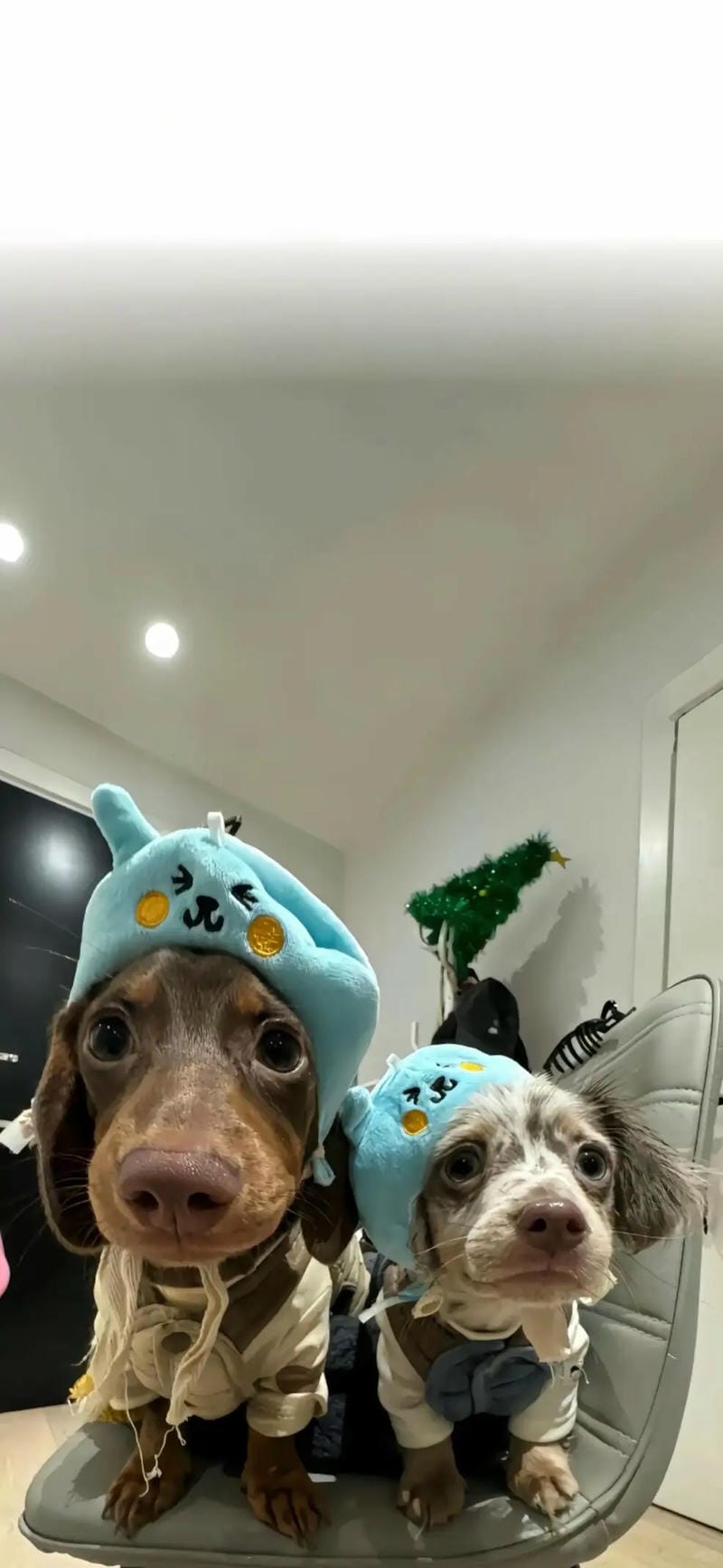 hinh-nen-hai-huoc (1)