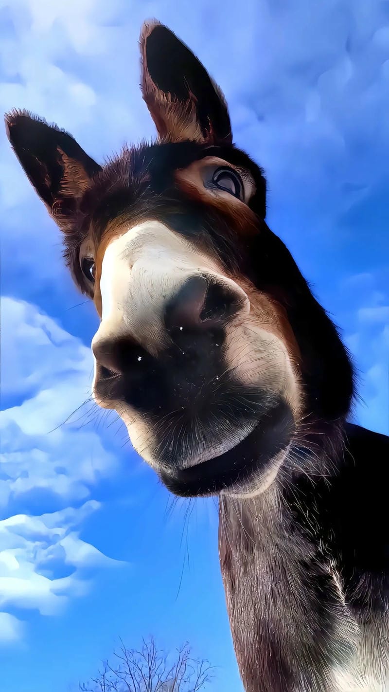 hinh-nen-hai-huoc (17)