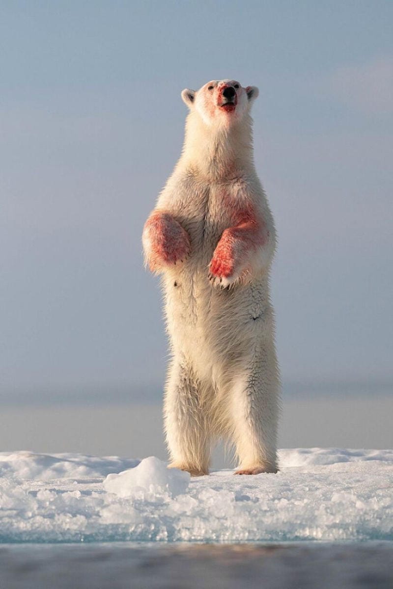 hinh-nen-hai-huoc (24)