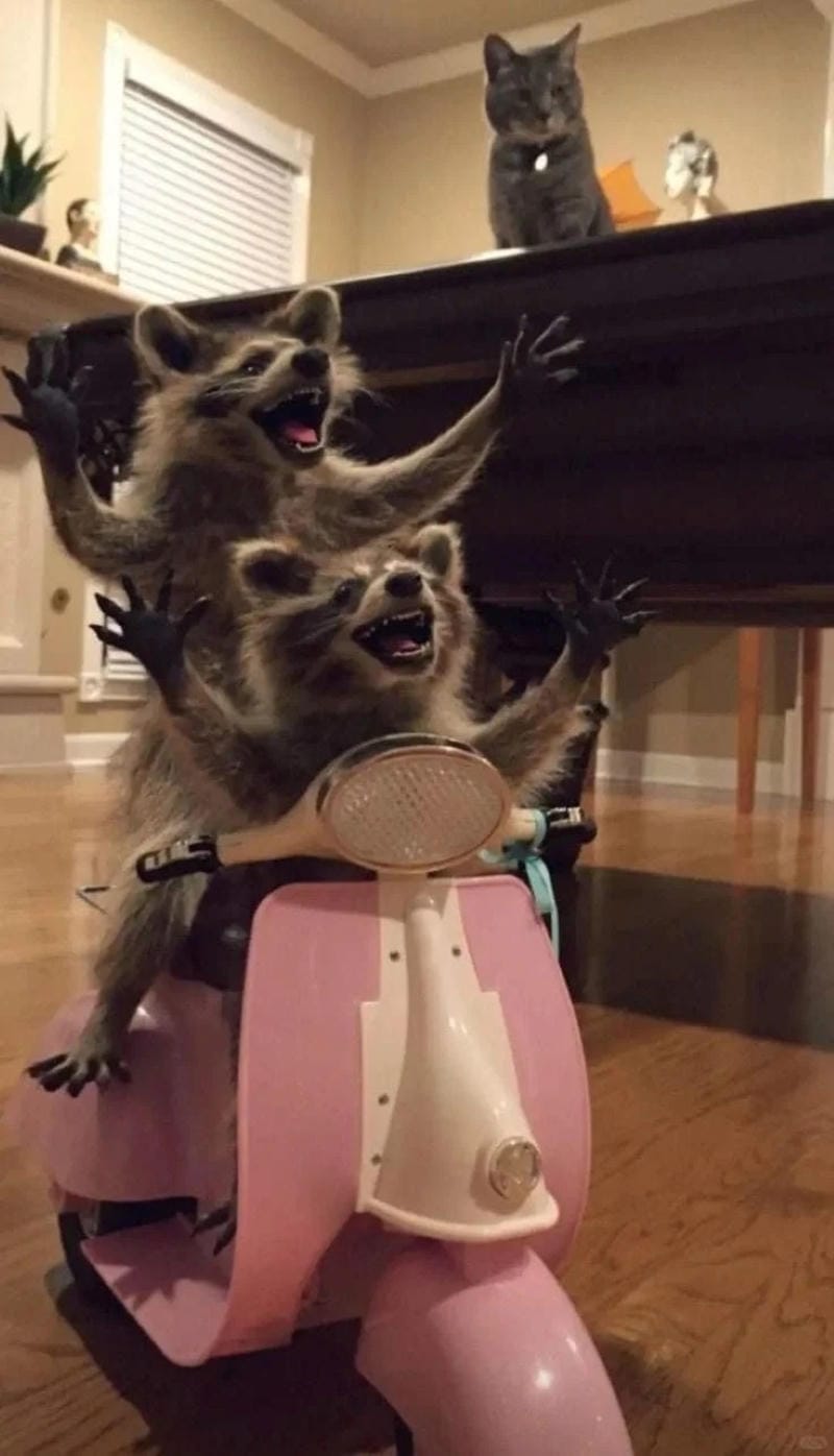 hinh-nen-hai-huoc (4)