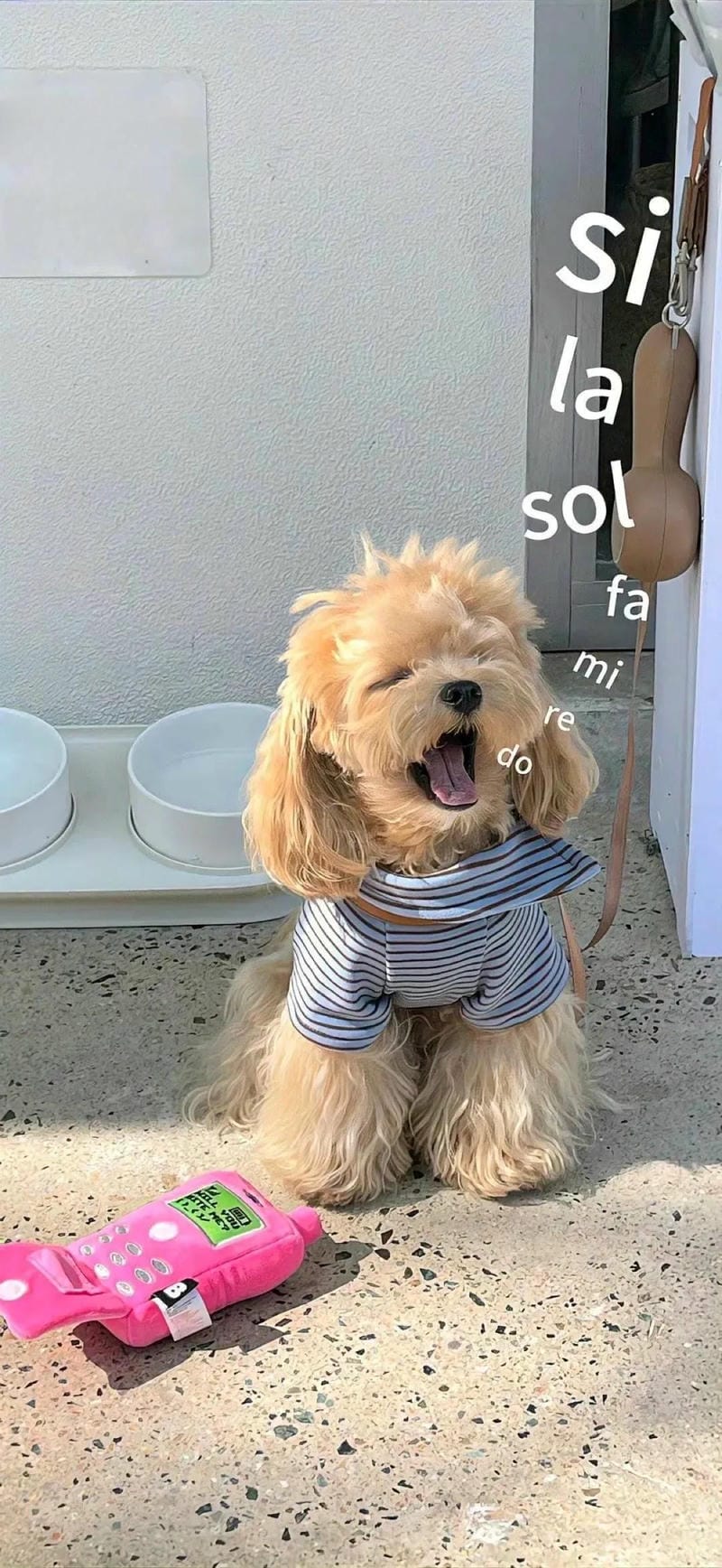 hinh-nen-hai-huoc (7)