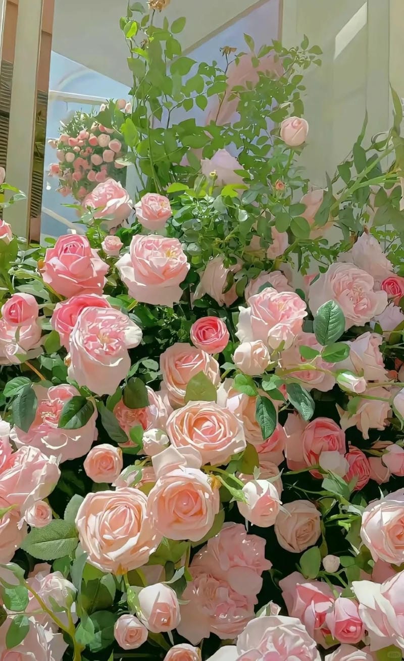 hinh-nen-hoa-hong (16)