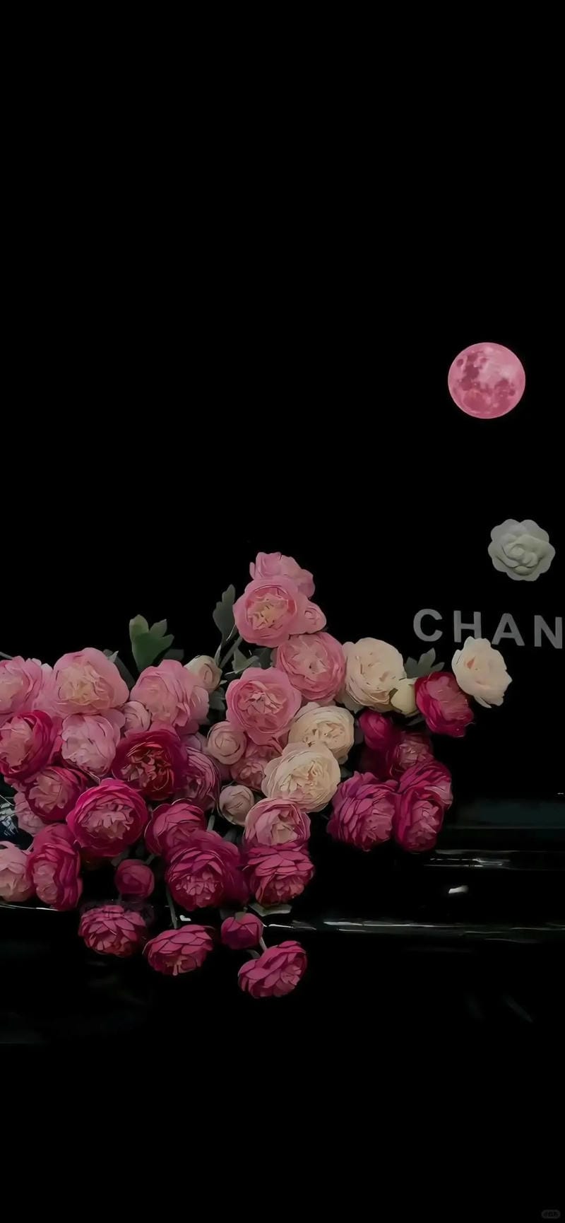 hinh-nen-hoa-hong (23)