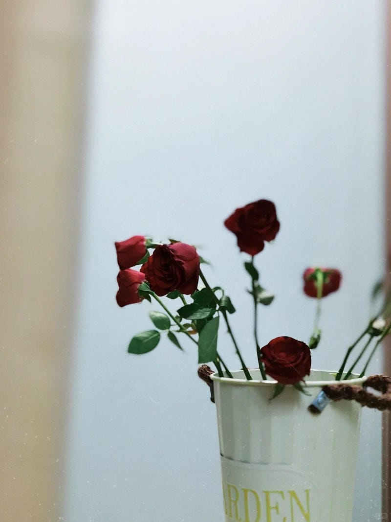 hinh-nen-hoa-hong (32)