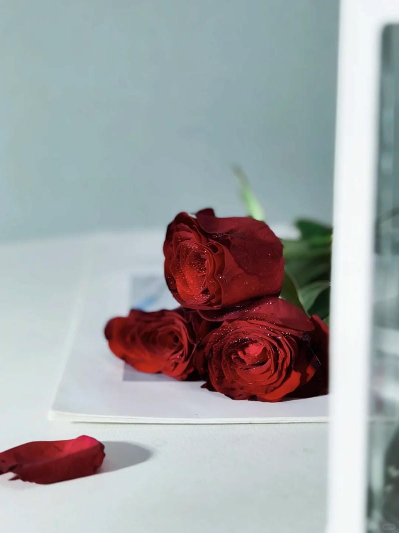 hinh-nen-hoa-hong (33)