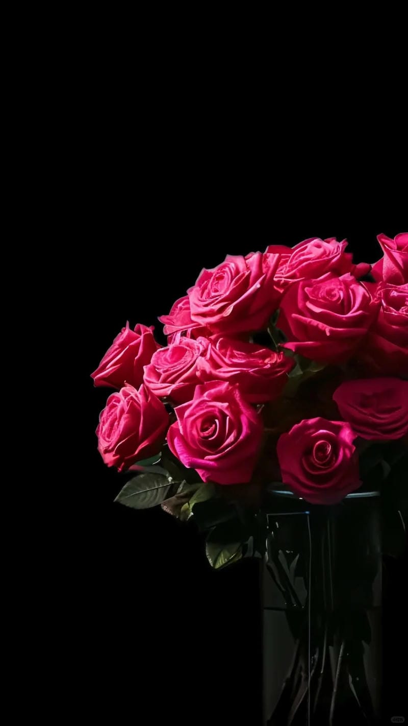 hinh-nen-hoa-hong (5)