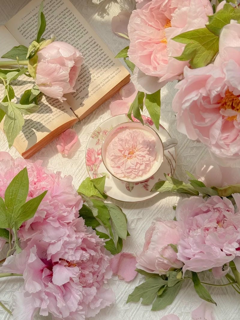 hinh-nen-hoa-mau-don (31)