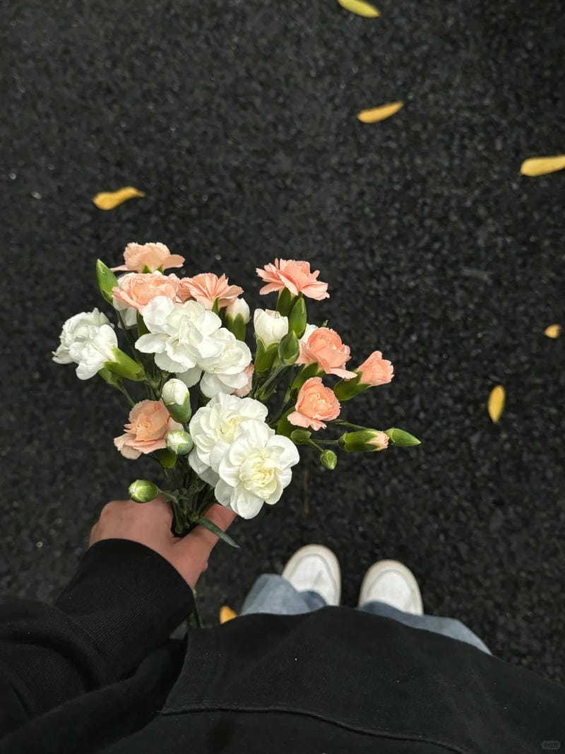 hinh-nen-hoa-nhai (27)