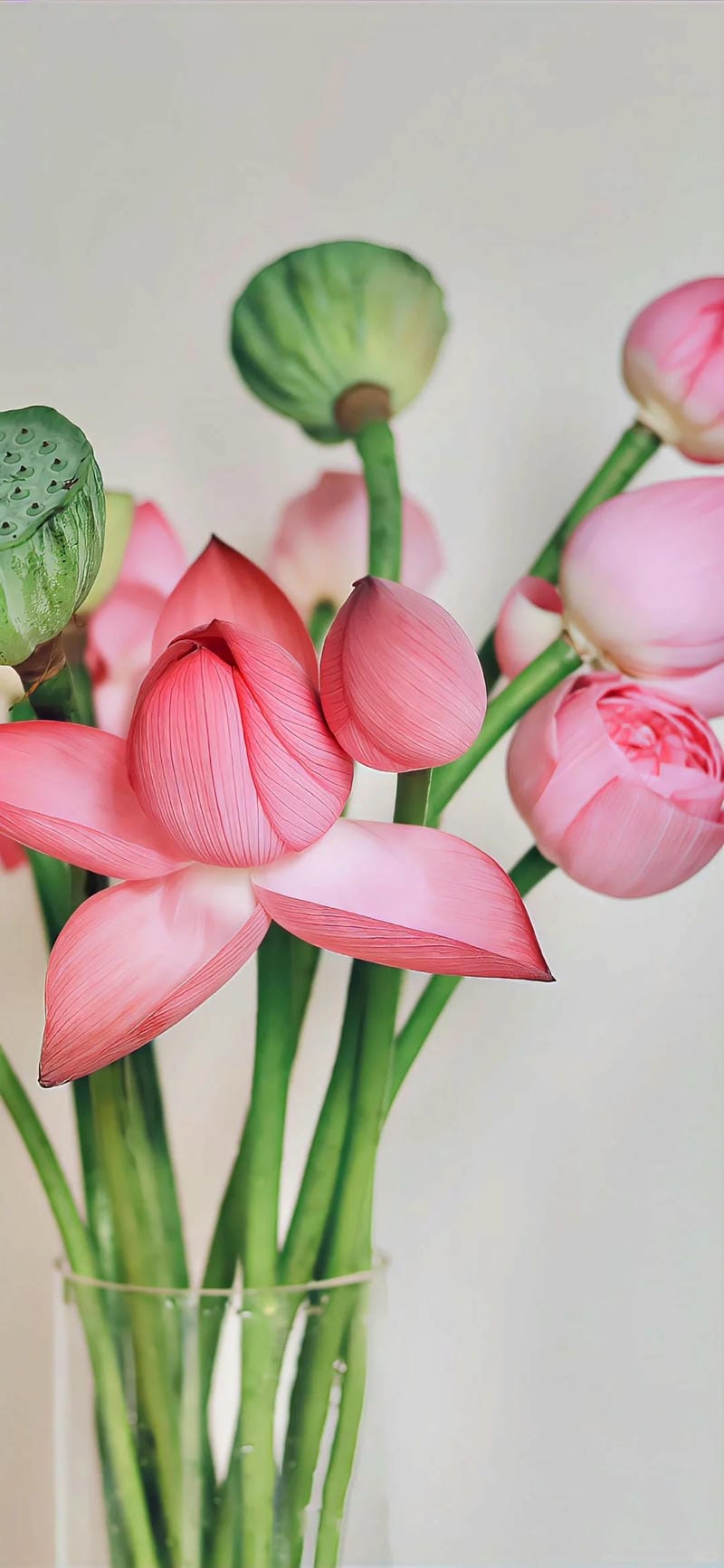 hinh-nen-hoa-sen (21)