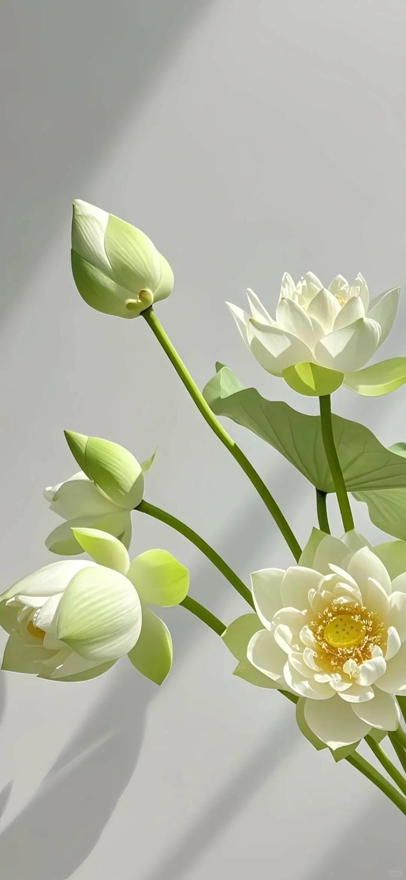 hinh-nen-hoa-sen (39)