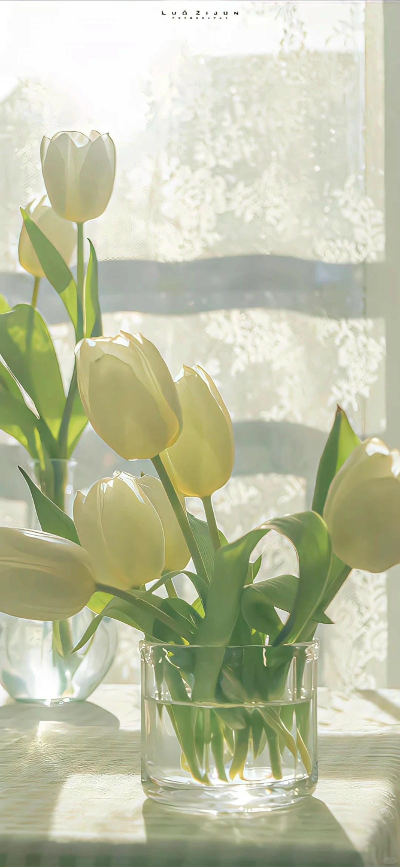 hinh-nen-hoa-tulip (19)