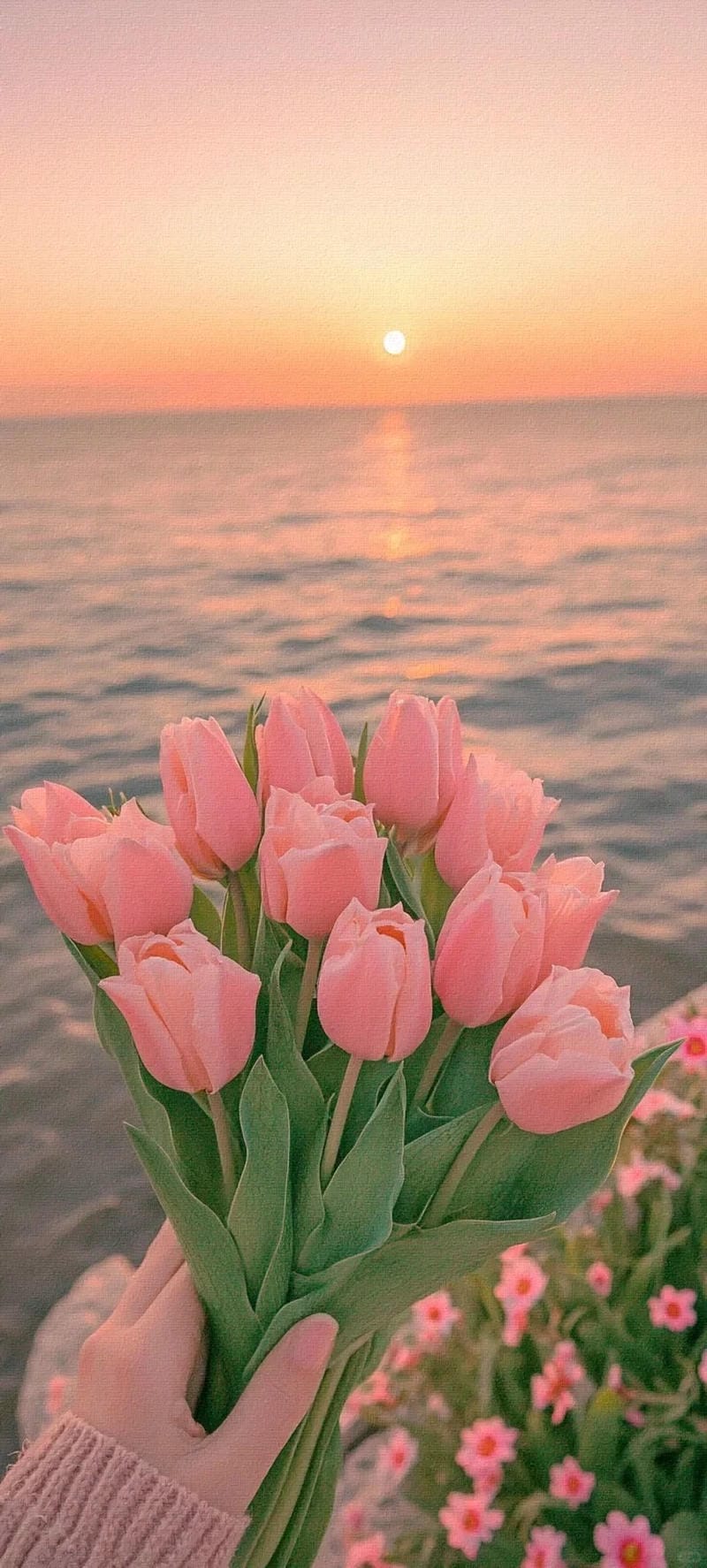 hinh-nen-hoa-tulip (29)