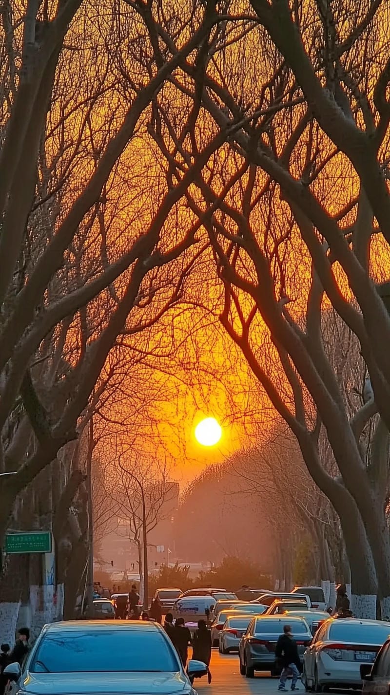 hinh-nen-hoang-hon (15)