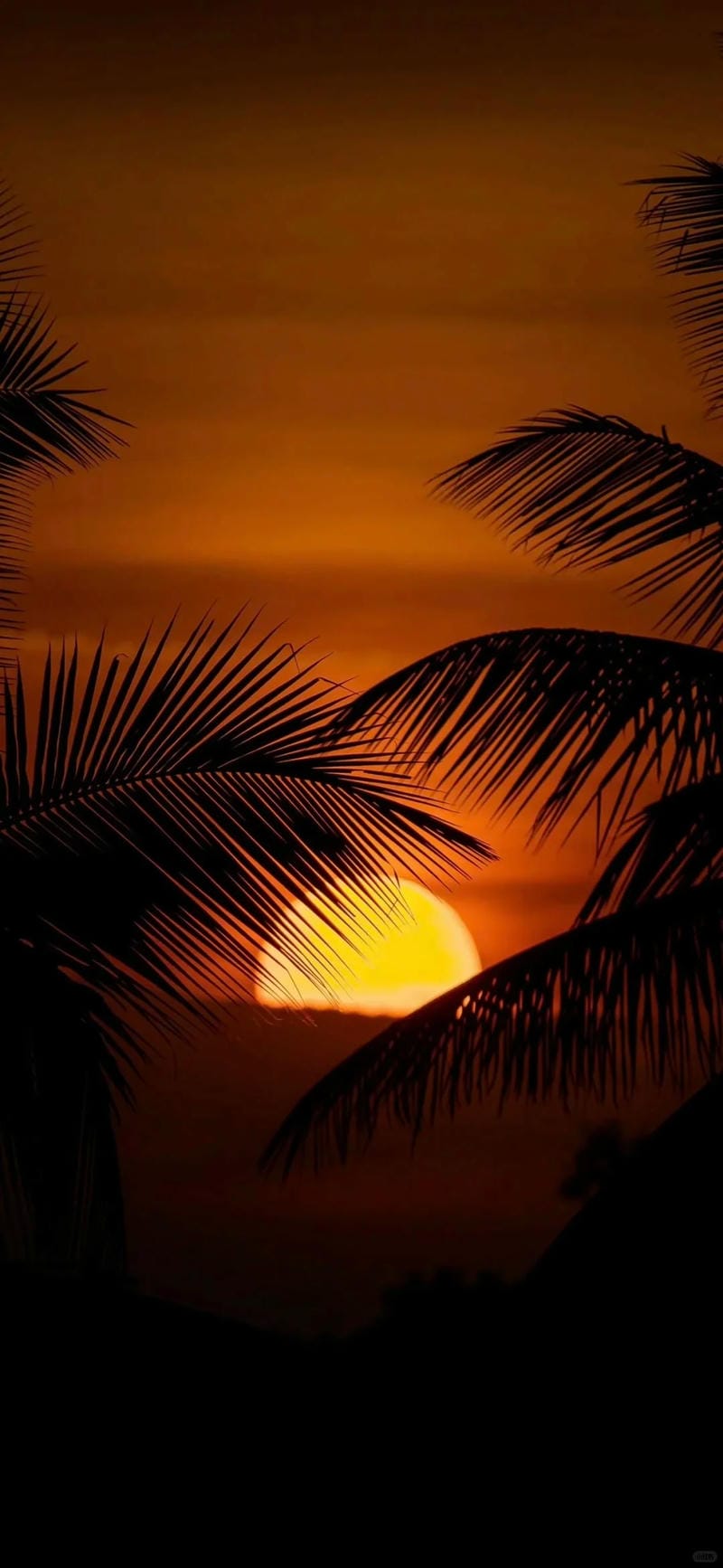 hinh-nen-hoang-hon (25)