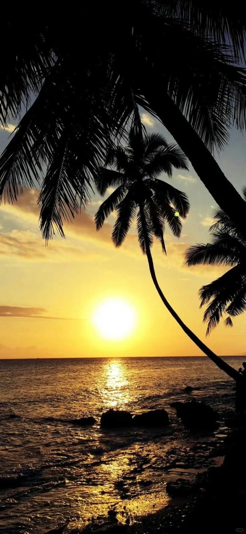 hinh-nen-hoang-hon (26)