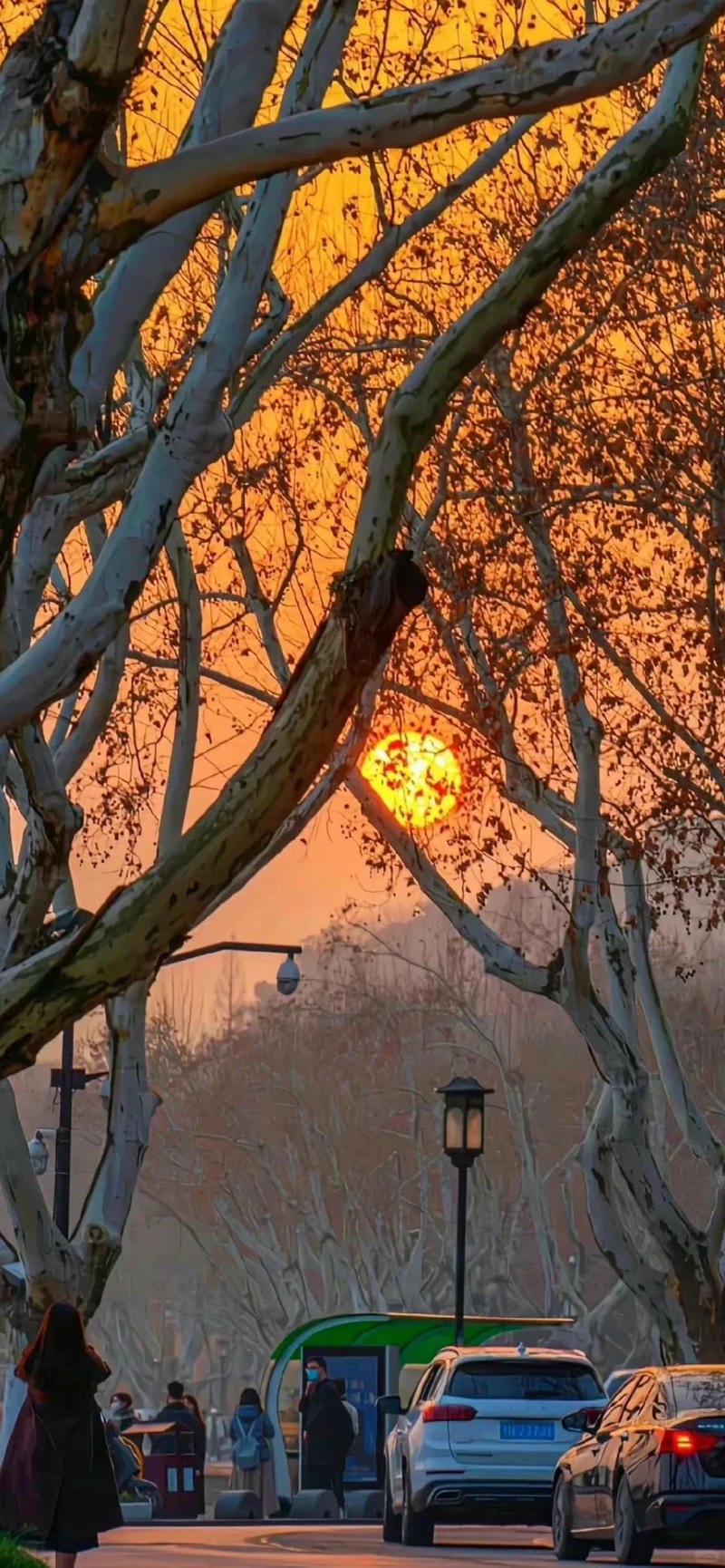 hinh-nen-hoang-hon (3)