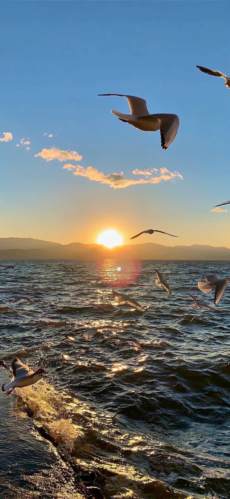 hinh-nen-hoang-hon (31)