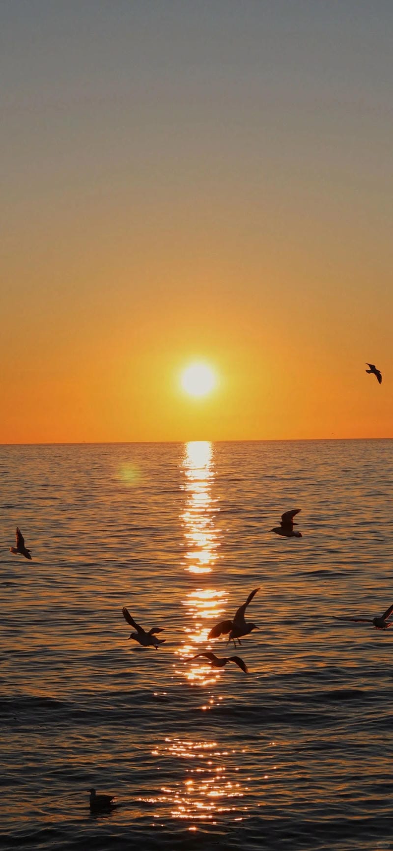 hinh-nen-hoang-hon (32)