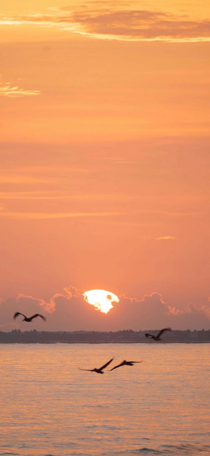 hinh-nen-hoang-hon (33)